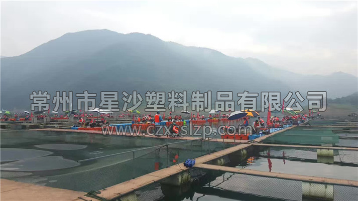 常州市星沙塑料制品有限公司客戶案例-張家界水庫(kù)釣魚(yú)平臺(tái)1